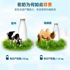 午后小驼驼奶片