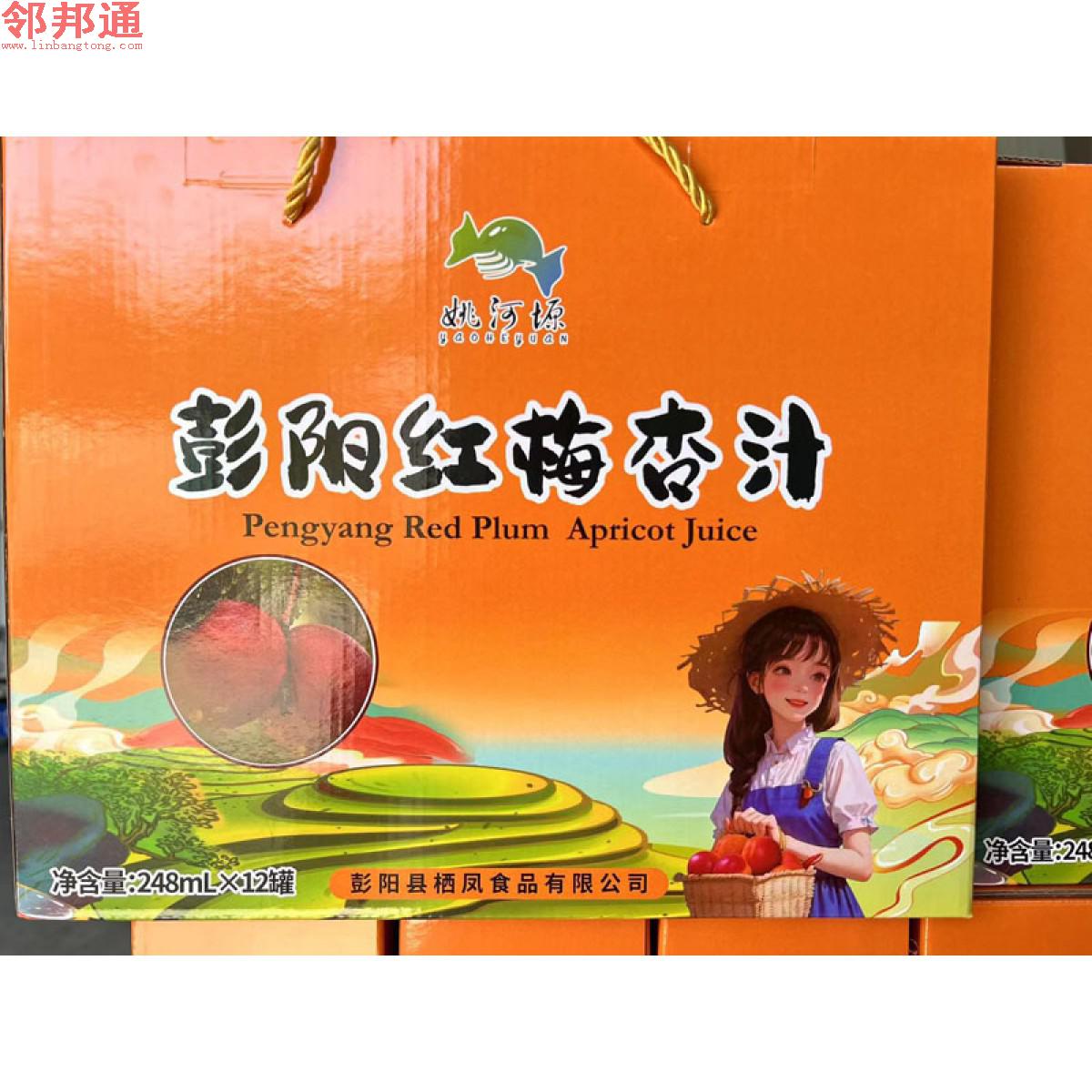 鹏阳红梅杏汁 每罐248ml*12罐