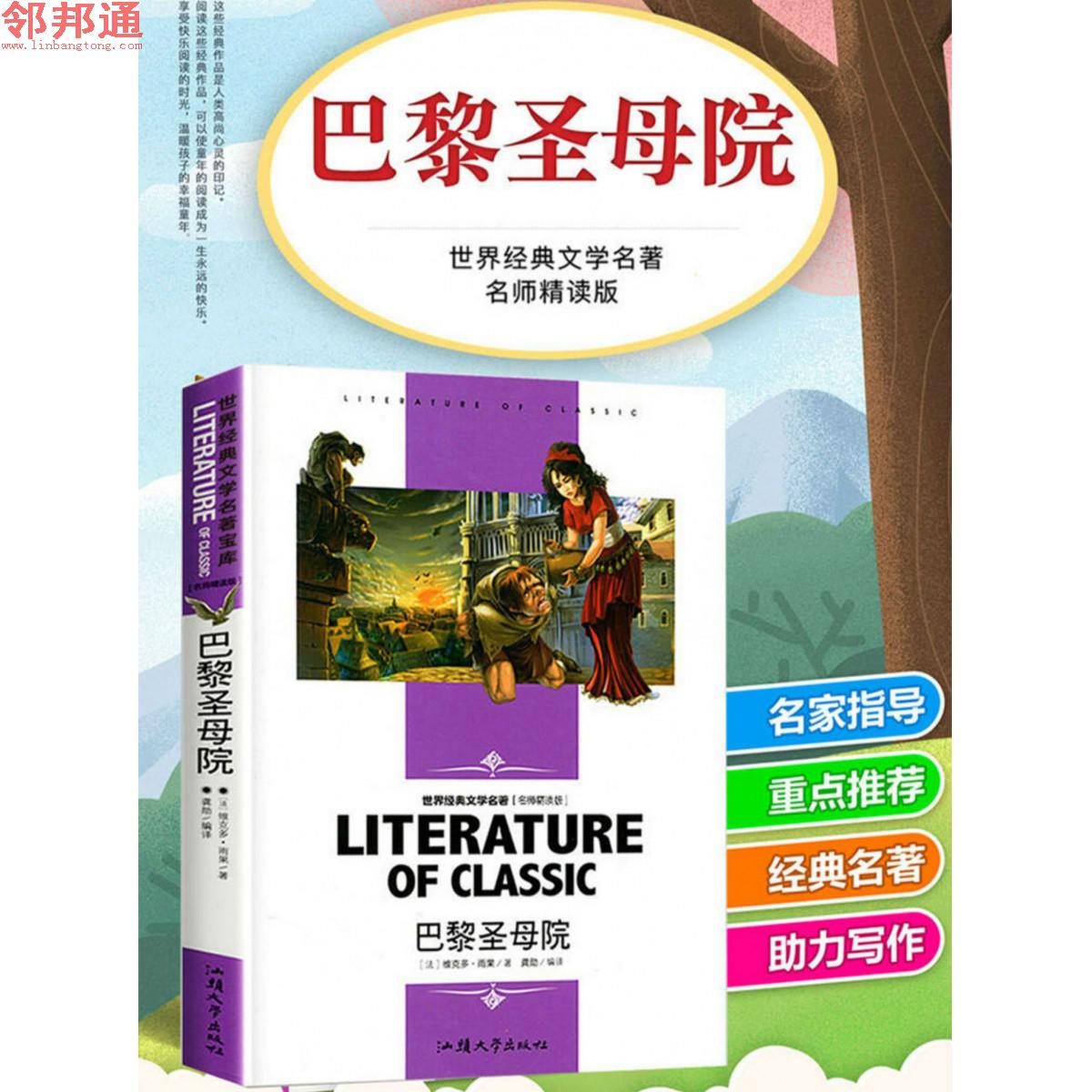 巴黎圣母院 世界经典文学名著 名师精读学生版 汕头大学出版社