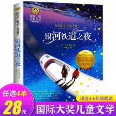 国际大奖儿童文学 银顶针的夏天