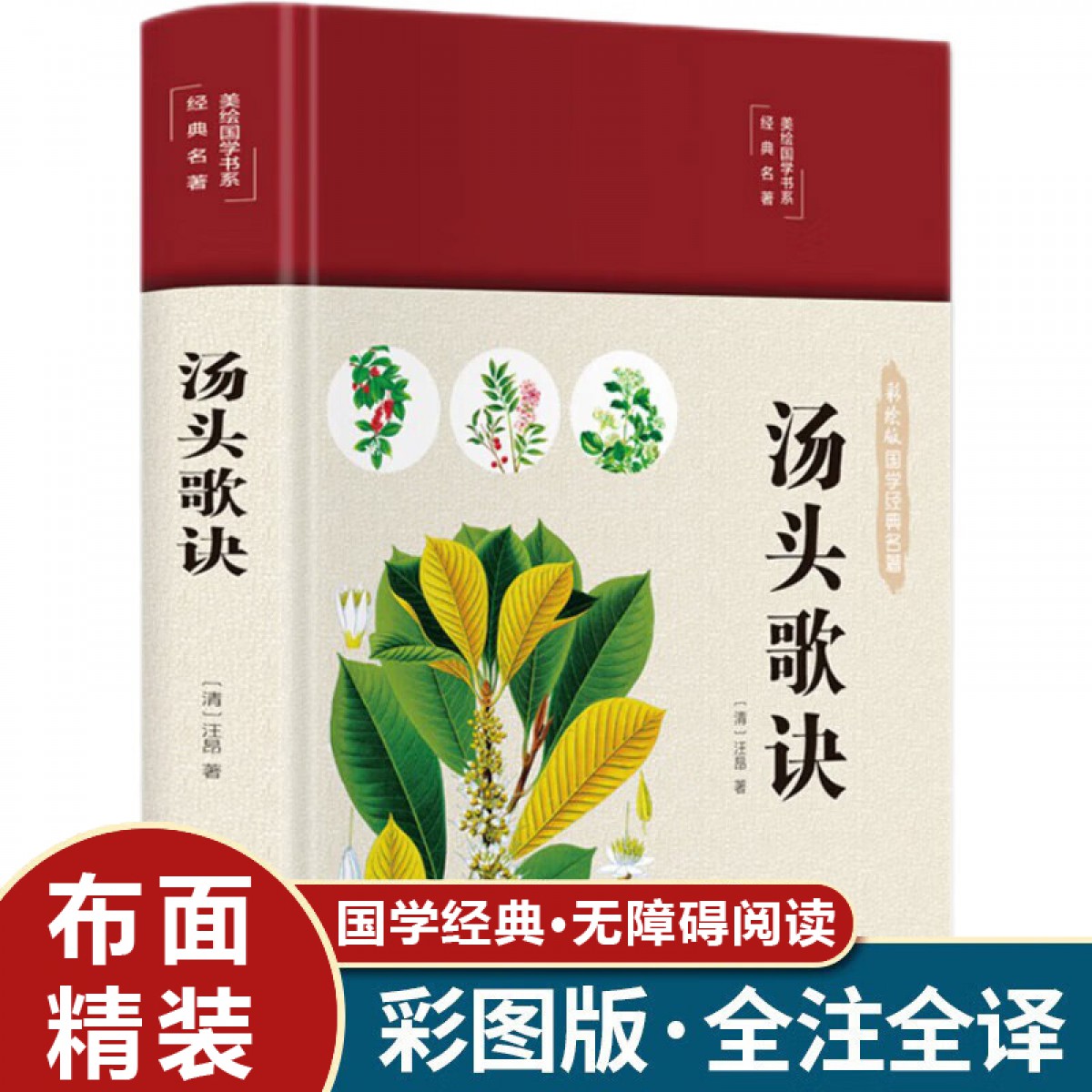 彩绘国学-汤头歌诀 原著完整无删减版，布面精装，全彩插图，全新校注，文白对照,译文通俗易懂，无障碍阅读 民主与建设出版社有限责任公司