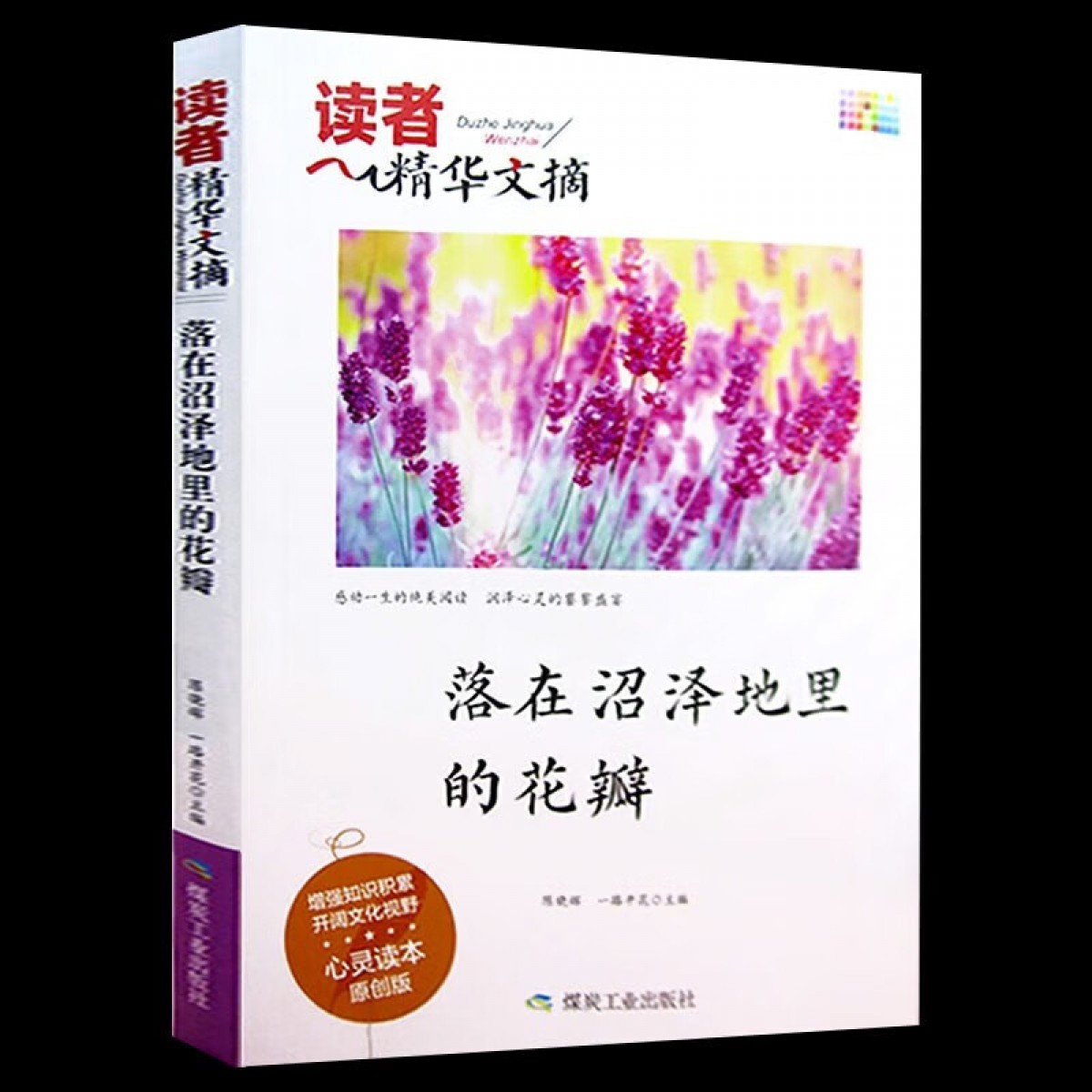 读者精华文摘·落在沼泽地里的花瓣 陈晓辉 煤炭工业出版社