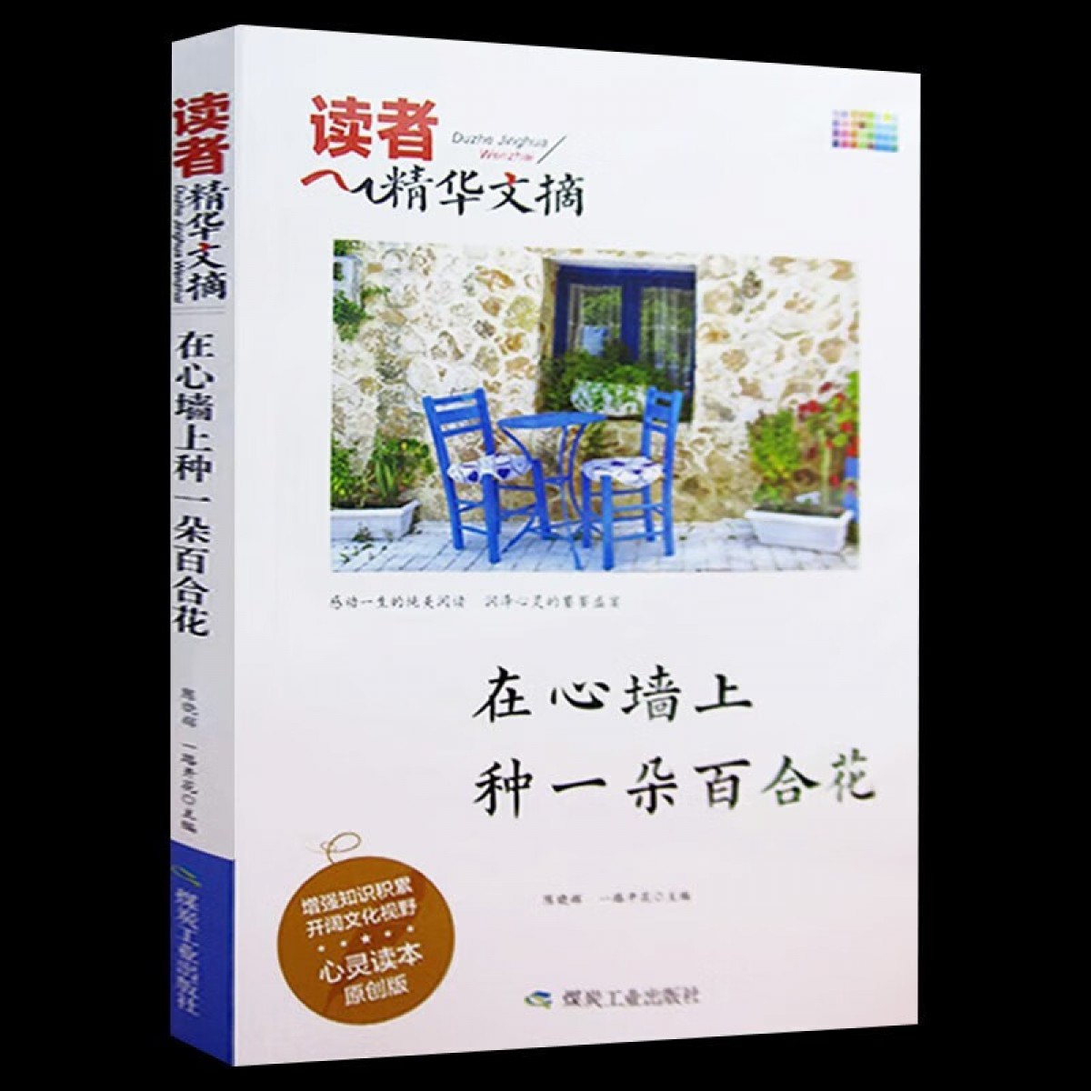 读者精华文摘·在心墙上种一朵百合花 陈晓辉 煤炭工业出版社