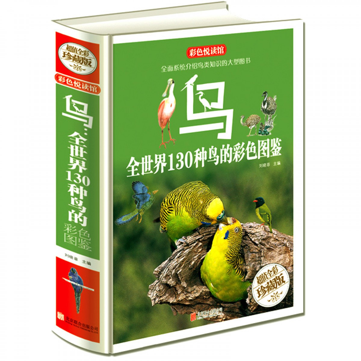 鸟-全世界130种鸟的彩色图鉴 全面介绍关于鸟类方面的知识 科普读物图书籍 鸟类书籍大百科 北京联合出版公司