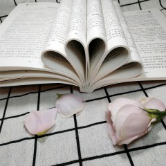 与成功有约-乔布斯全书 社科成功励志书籍 青少年版世界中外人物自传 传记书籍 公司经营管理书 吉林文史出版社