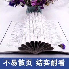 （新平装）给你一个队伍看你怎么带 吉林文史出版社