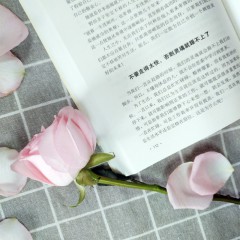 人生三悟-方与圆的人生智慧课 方外有圆圆中有方 方圆合一为人处世智慧书 做人做事的学问人生智慧励志书籍 为人处世人际交往沟通社交技巧演讲说话艺术 吉林文史出版社