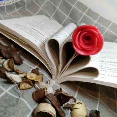 包与容的人生必修课 人生智慧有一种境界叫放下心态叫舍得有一种智慧叫包容 成就一生的智慧 自我实现成功励志心灵修养正版书籍 吉林文史出版社