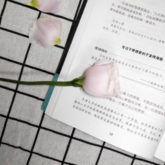 与成功有约-德鲁克全书 吉林文史出版社