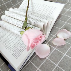 与成功有约-科特勒全书 吉林文史出版社