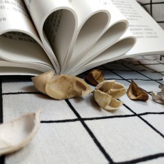 卓越人生-好心态好性格好习惯 心态决定命运 自我疗愈自我实现淡定的人生修养 心灵鸡汤正能量养成青春励志书籍 修身养性成功励志社会心理学书籍 吉林文史出版社