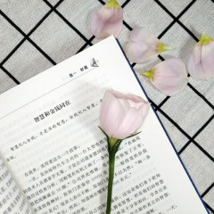 人生成长修炼课 犹太人智慧全书 经商之道生意经与思考术书籍教子枕边书塔木德秘密犹太人的教子智慧 励志成功学书籍畅销书 人生哲理塔木德教子枕边书 吉林文史出版社