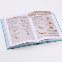 生活窍门全知道 珍藏版现代家庭生活小诀窍工具书 好爸爸妈妈生活助手 家庭主妇的实用书籍 日常生活医疗急救的百科全书全彩图 中国华侨出版社