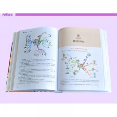 思维导图-大脑使用说明书 开发大脑思维书籍中学生教辅思维训练图书 北京联合出版公司