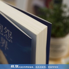 不抱怨的世界 中国华侨出版社